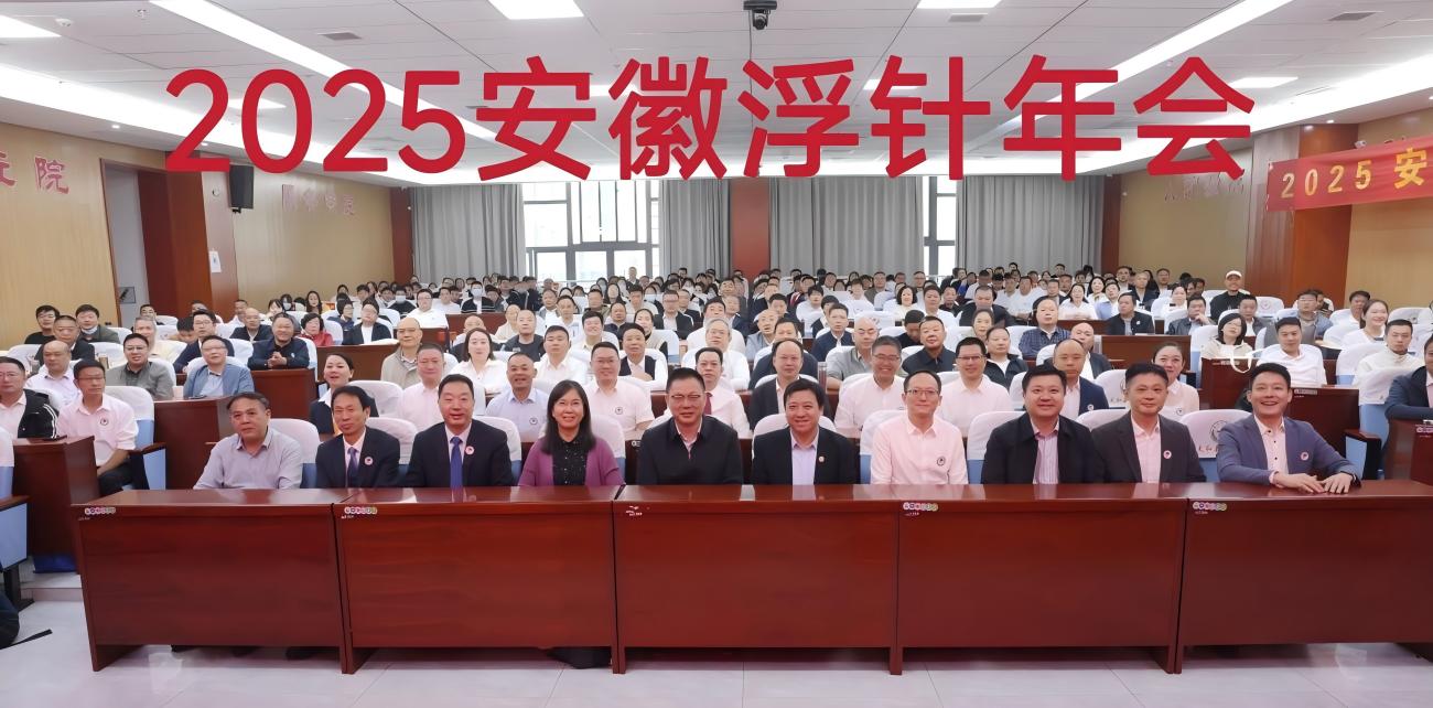 2025安徽浮针年会在太和成功举办
