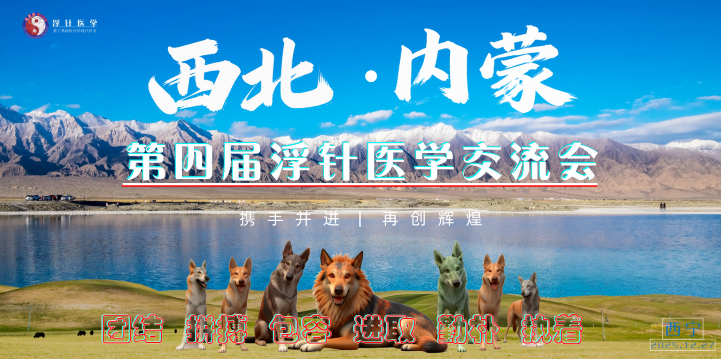 第四届西北·内蒙浮针医学交流会于青海西宁圆满举办