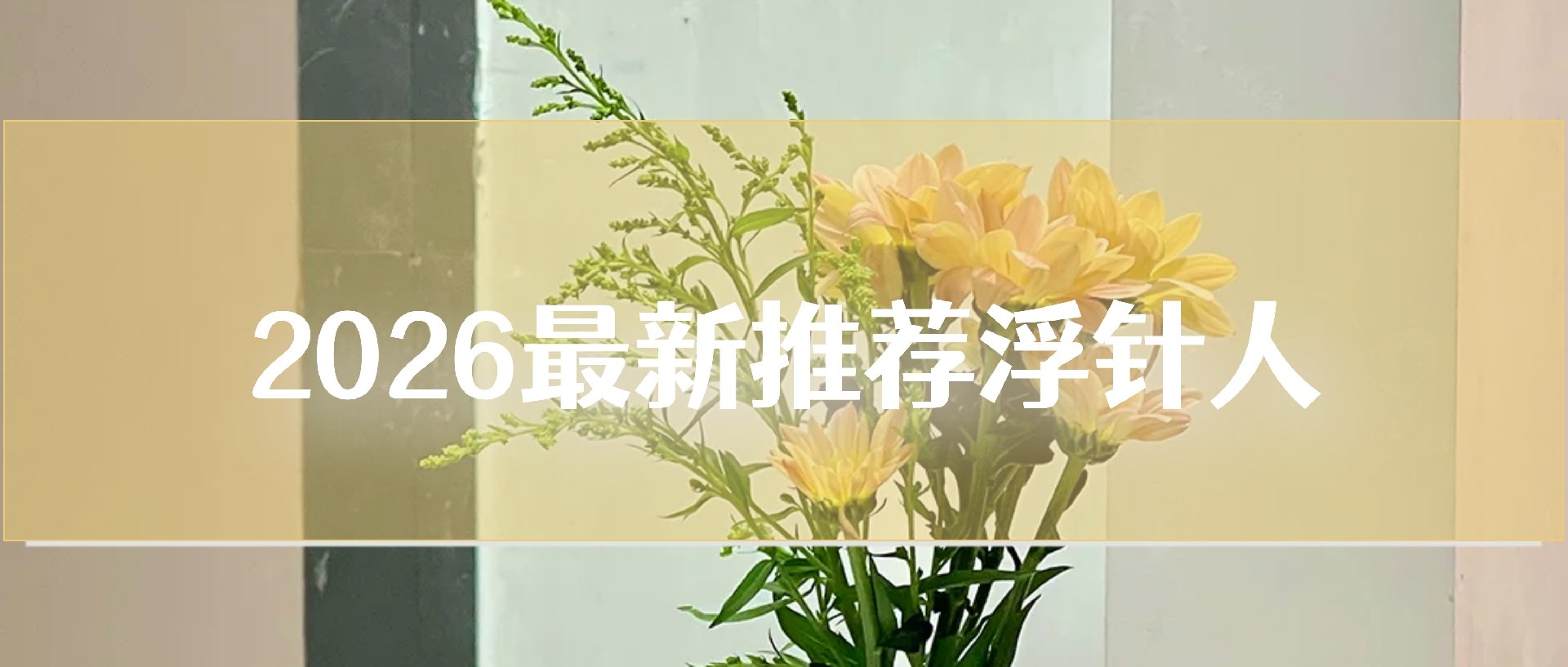 浮针人2026星级推荐